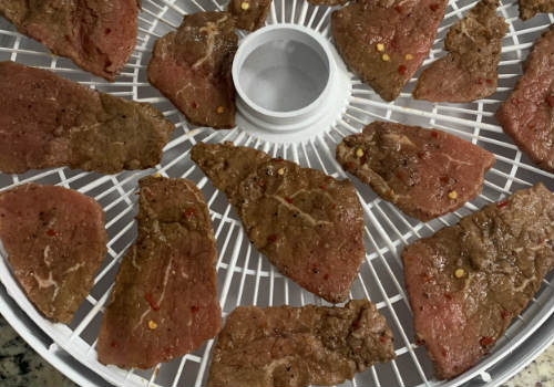 Marinated beef spaced around a round dehydrator tray
