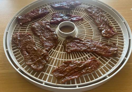 Marinated barbecue beef spaced on a round dehydrator tray
