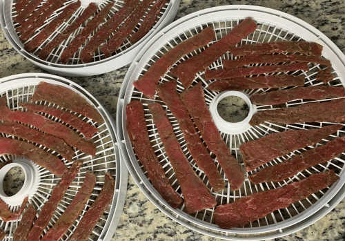 Several dehydrator trays loaded with long beef strips