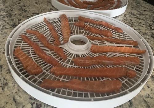 Salmon strips spaced across a round dehydrator tray