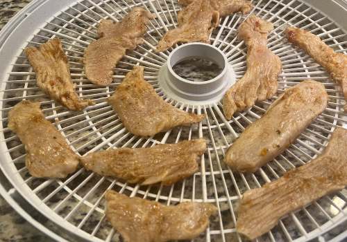 Marinated turkey strips spaced on a round dehydrator tray