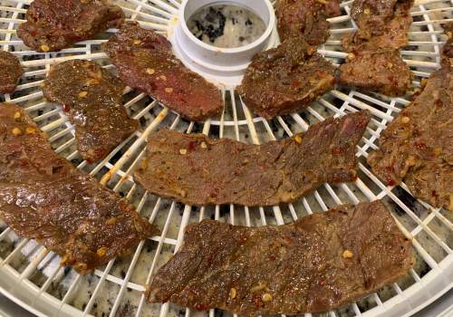 Marinated beef strips on a round dehydrator tray