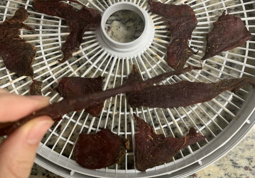 Beef jerky after 4 hours in the dehydrator