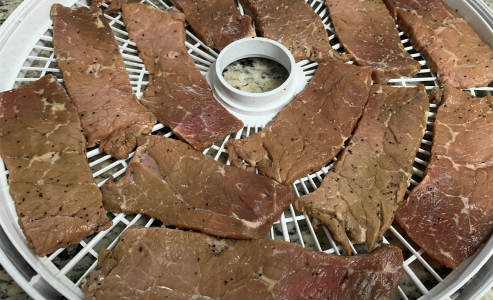 Beef placed on the dehydrator for drying