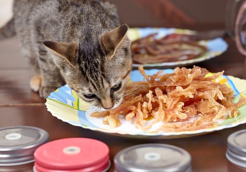 Cat's beef jerky