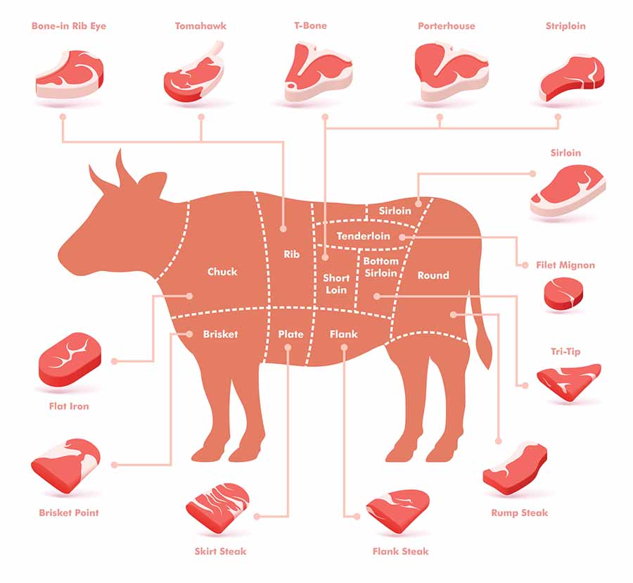 Cuts of beef -- a marked cow