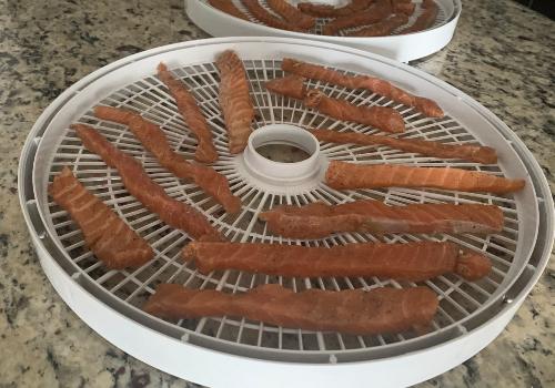 Fish placed on the dehydrator for drying