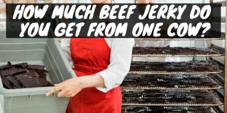 Cattle Calculations: How Much Beef Jerky Do You Get from One Cow?