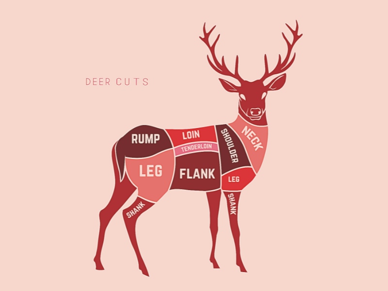 What Part of the Deer Is Best for Jerky? (4 of the Best Venison Cuts... and 4 to Avoid)
